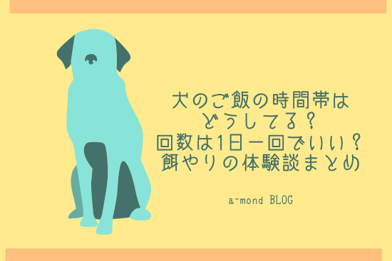 犬のご飯の時間帯はいつ 回数は1日一回でいいの 餌やりの失敗談と成功談 ぎゅぎゅっとblog