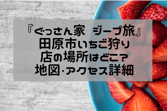 ぐっさん家 ジープ旅の場所 田原市 いちご狩りのお店はどこ アクセス詳細 2 16放送 ぎゅぎゅっとblog