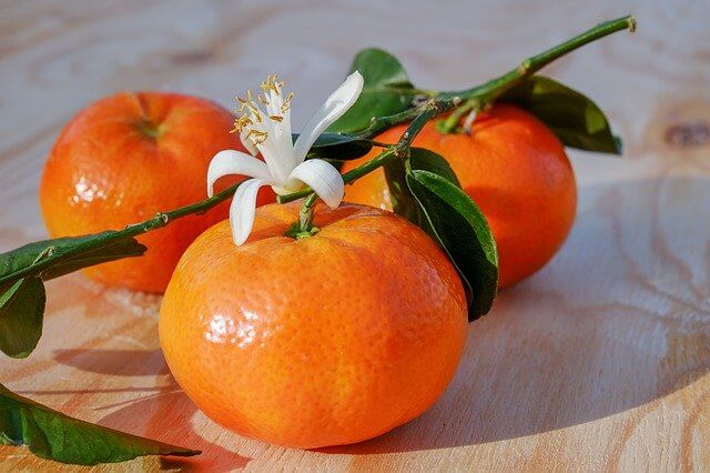 オレンジの花　花言葉